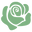 Nova Bloom India logo